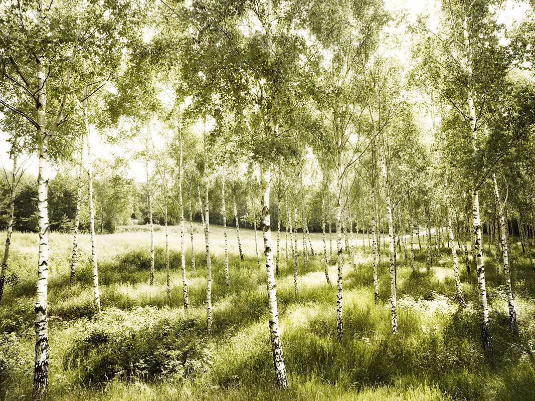 Teamentwicklung_LINC Team Check