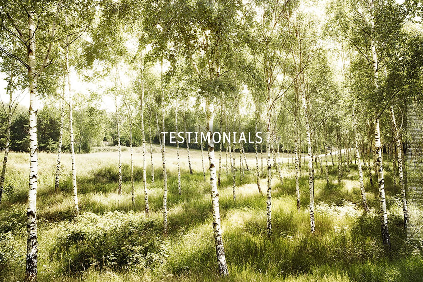 Referenzen Claudia Trulsen Coaching