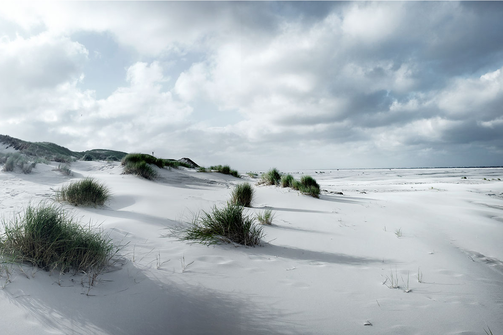 Leadership Newsletter