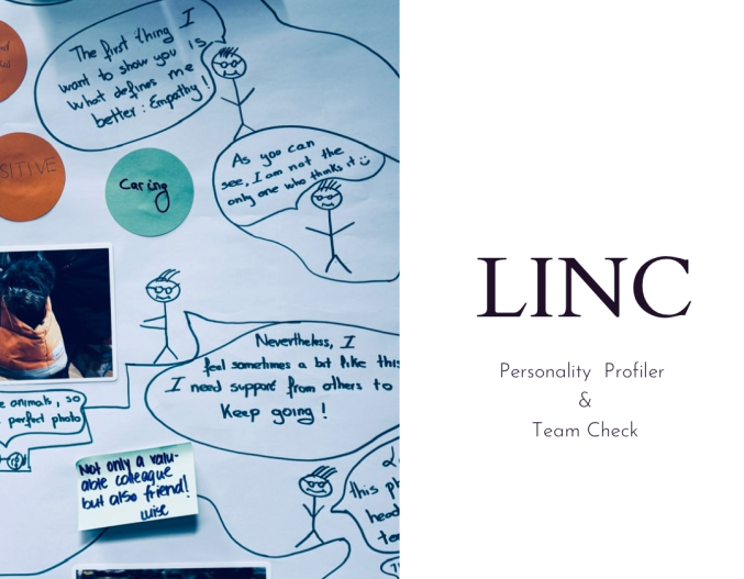 LINC Team Workshop – Zusammenarbeit neu denken, Teamgeist stärken