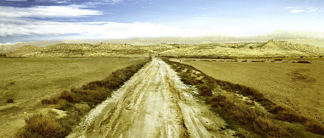 PERMA Lead - Leadership Coaching Hamburg