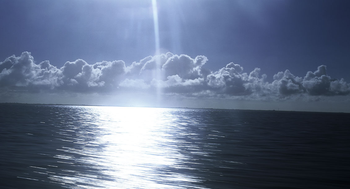 LINC Personality Profiler Führungskräfte