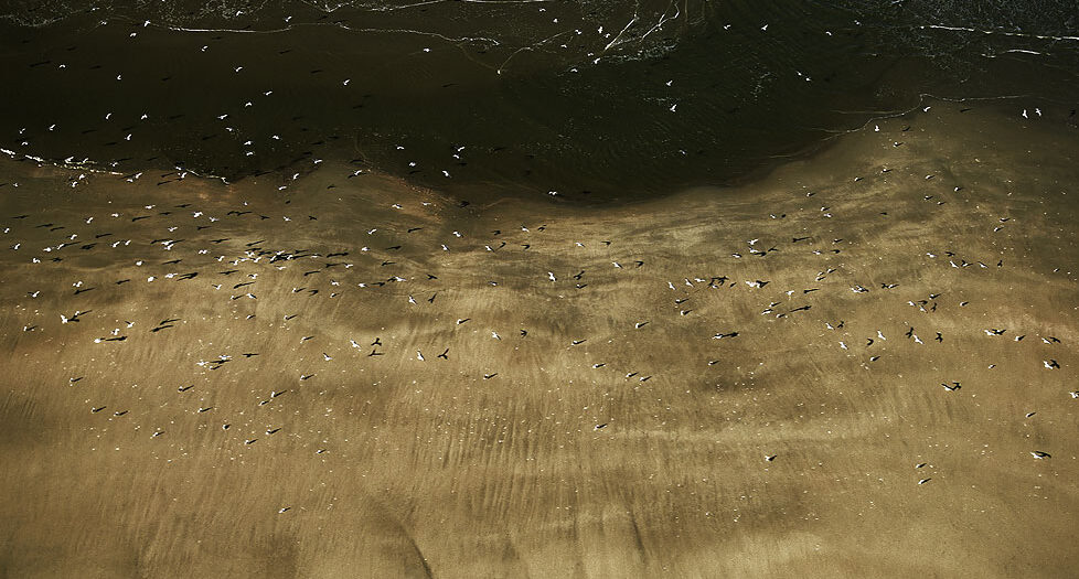 Team Coaching für Führungsnachwuchskräfte